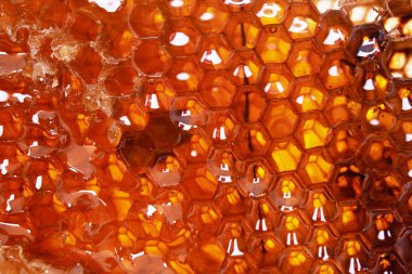 arka plan olarak bal tarak