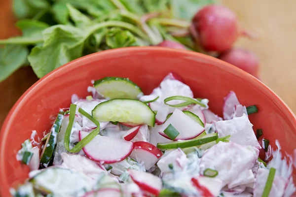 Salade met radijs — Stockfoto