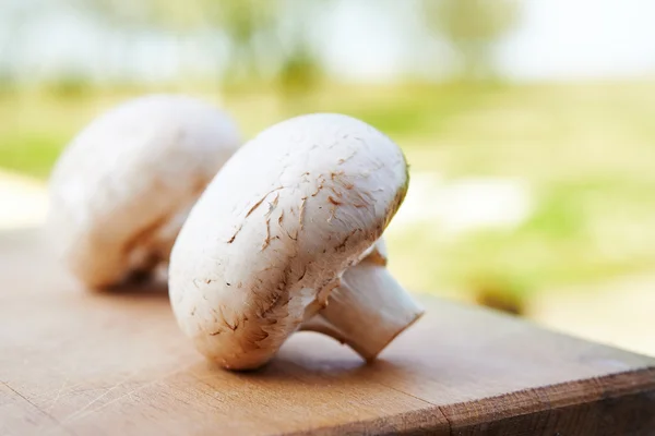 Ganze Champignons — Stockfoto