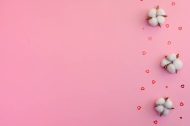 Pembe arka planda beyaz pamuk çiçekleri. Küçük parlak kalpler. Üst görünüm