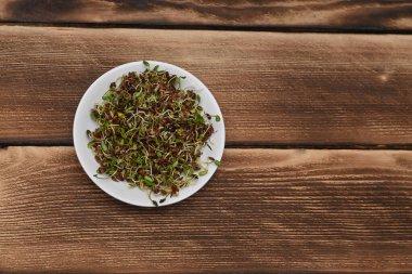 Yeşillik, keten tohumu. Tahta bir masada beyaz bir tabakta. Sağlıklı yiyecek kavramı. en üstteki görünüm.