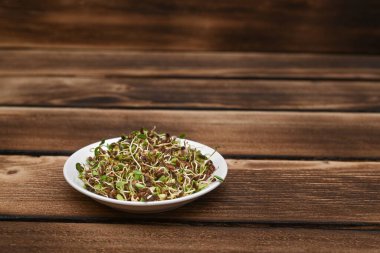 sprouted flax seeds on a natural wooden background in a plate. healthy vegetarian diet