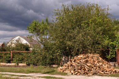 Odun, kışın ısınmak için ekolojik bir doğal yakıttır..