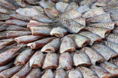 Kuru gurami balığı