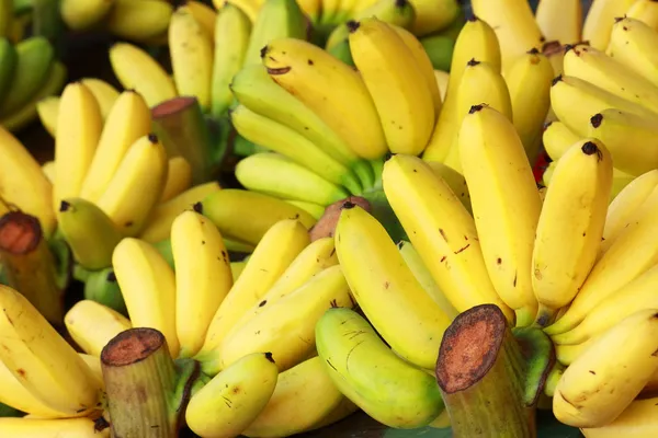 Manojo de plátano — Foto de Stock