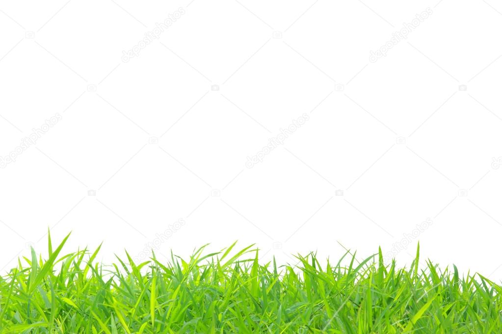 frame of grass