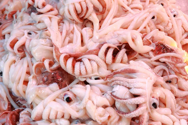 Octopus heap — Stock Photo, Image