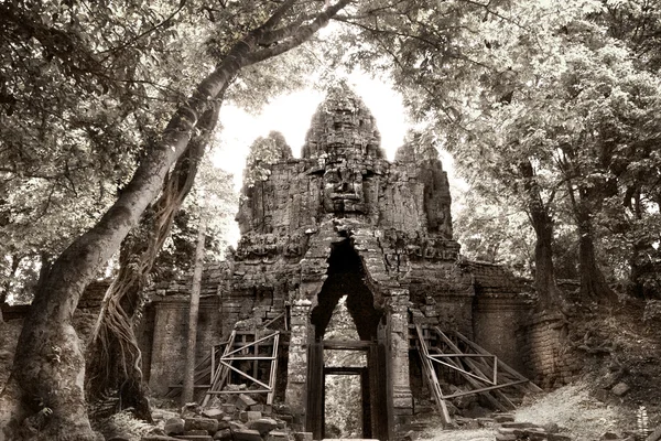 Angkor thom — Stockfoto