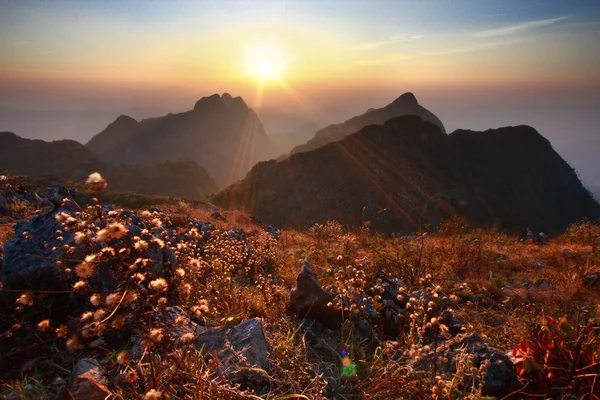 Hermoso paisaje — Foto de Stock