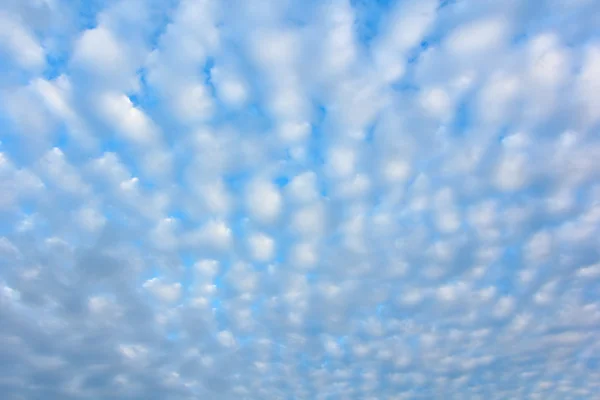 Altocumutus хмара — стокове фото