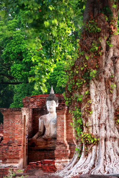 Buddha-Bild — Stockfoto