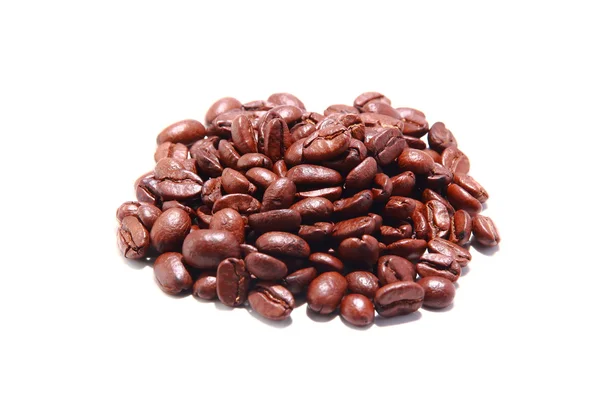 Seed coffee — Stock Photo, Image