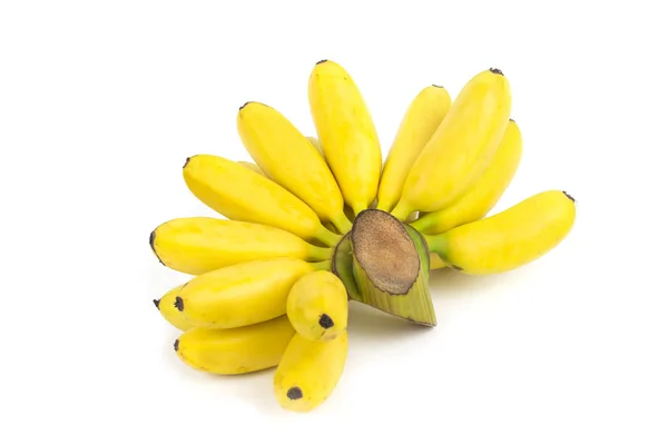 Banaan bos — Stockfoto