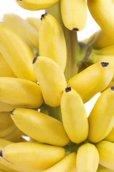 https://st.depositphotos.com/1024122/4250/i/450/depositphotos_42506887-stock-photo-banana-bunch.jpg