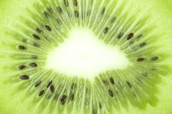Kiwi close up crop — Stock Photo, Image