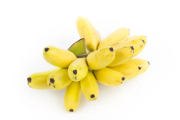 Banaan bos cluster — Stockfoto