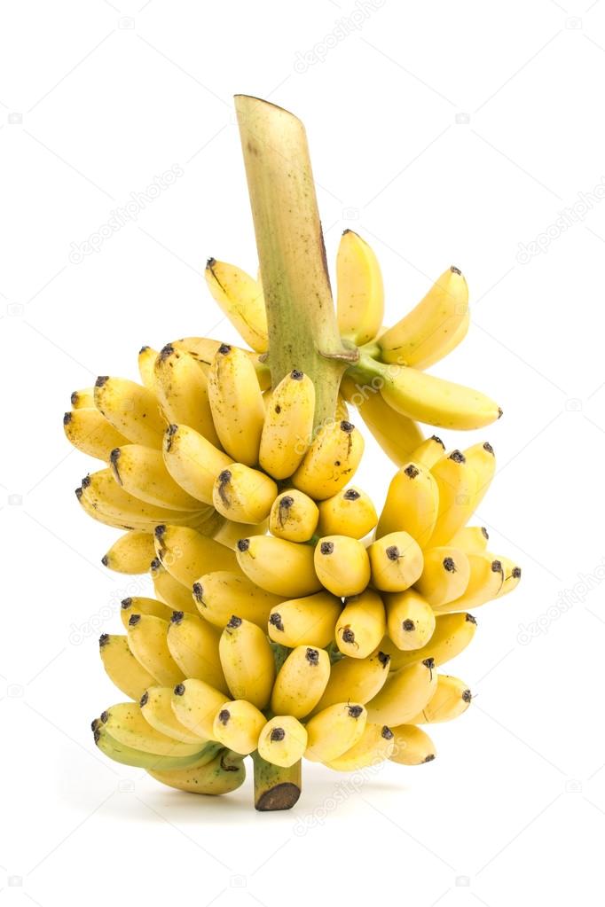 Banana bunch cluster Stock Photo by ©happystock 42506967