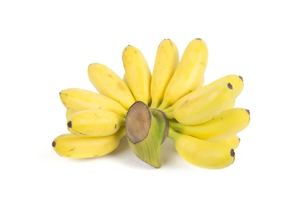 Banaan bos cluster geïsoleerd op witte achtergrond — Stockfoto