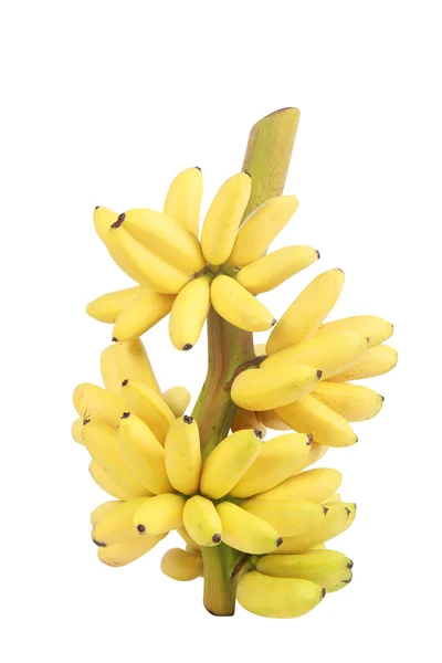 Banan kilka klastra na białym tle — Zdjęcie stockowe