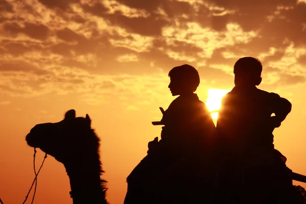 Boys sit on camel — Stock Photo, Image