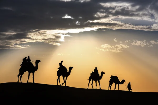 Desert local walks with camel through Thar Desert — Stock Photo, Image