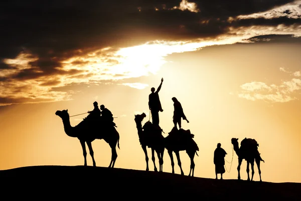 Desert local walks with camel through Thar Desert — Stock Photo, Image