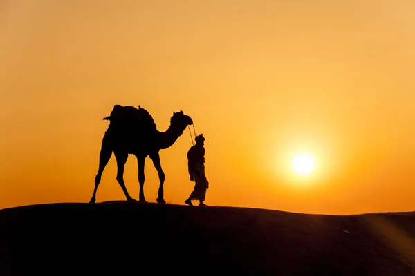 Deserto passeggiate locali con cammello attraverso Thar Desert — Foto Stock