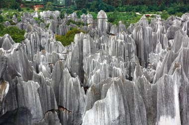 Taş Ormanı Ulusal Parkı yunnan Eyaleti