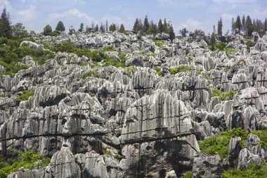 Taş Ormanı Ulusal Parkı yunnan Eyaleti