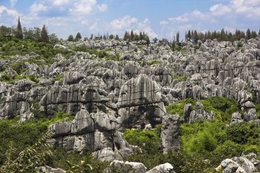 Taş Ormanı Ulusal Parkı yunnan Eyaleti