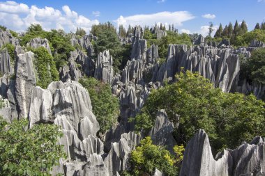 Taş Ormanı Ulusal Parkı yunnan Eyaleti