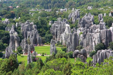 Taş Ormanı Ulusal Parkı yunnan Eyaleti