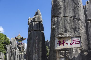 Taş Ormanı Ulusal Parkı yunnan Eyaleti