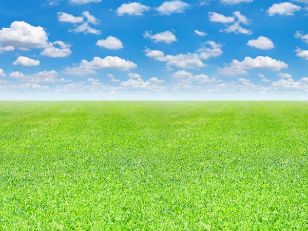 Campo verde y fondo cielo azul — Foto de Stock