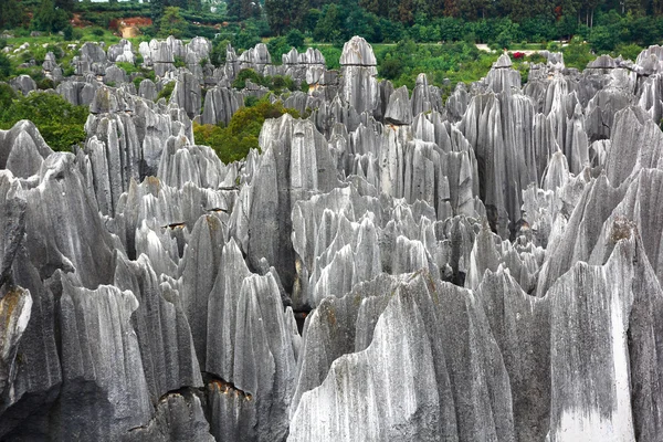 Кам'яний ліс Національний парк в провінції Юньнань — стокове фото