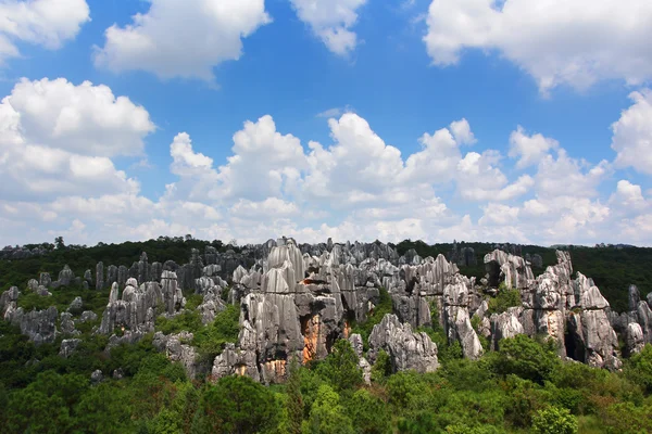 Stone forest national park in Yunnan province — ストック写真