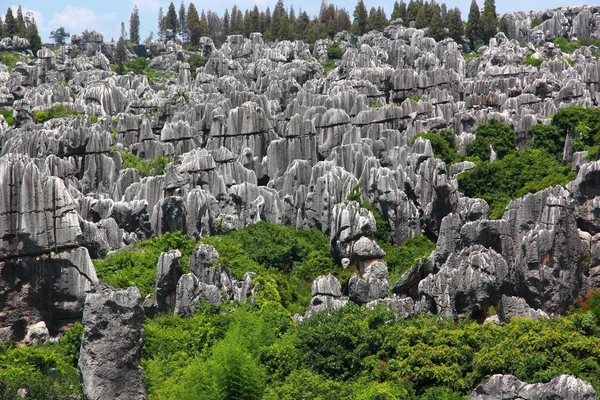 Stone forest national park in Yunnan province — Stock fotografie