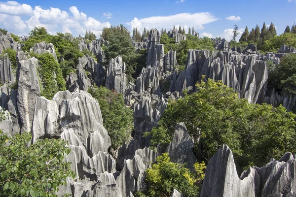 Stone forest national park in Yunnan province — Stock fotografie