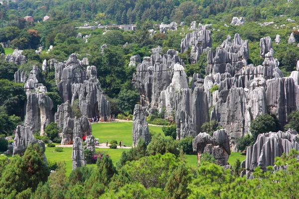 Stone forest national park in Yunnan province — ストック写真