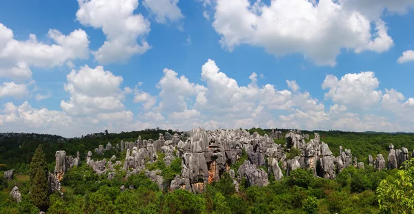Stone forest national park in Yunnan province — Stock Photo, Image