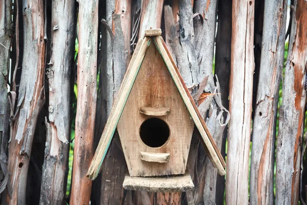 Casa degli uccelli nidificazione — Foto Stock