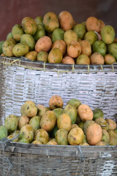 Плоды манго — стоковое фото