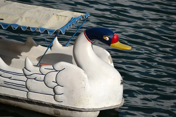 Kuğu pedallı bot — Stok fotoğraf