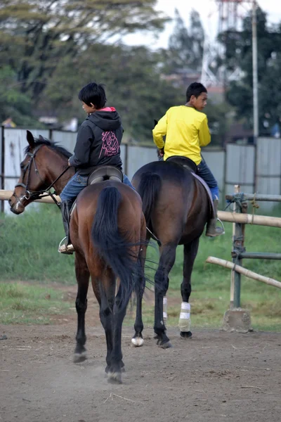 Jonge jongen paardrijden paard — Stockfoto