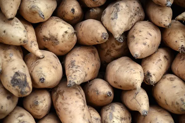 Süßkartoffeln — Stockfoto