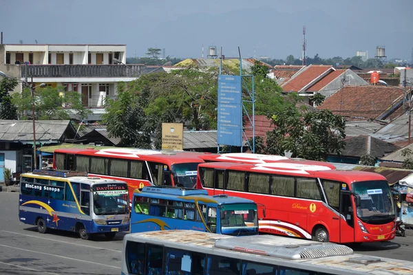 Parkowanie autobusów — Zdjęcie stockowe