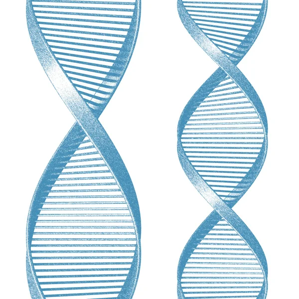 ДНК ізольовані — стокове фото