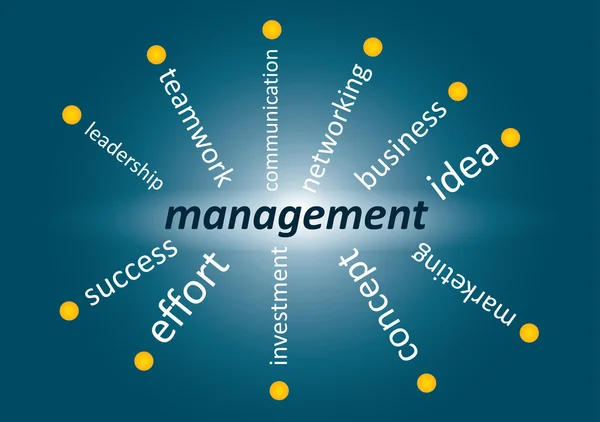 Management concept — Stock Vector