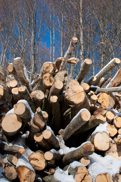 Tocón en el bosque de invierno —  Fotos de Stock