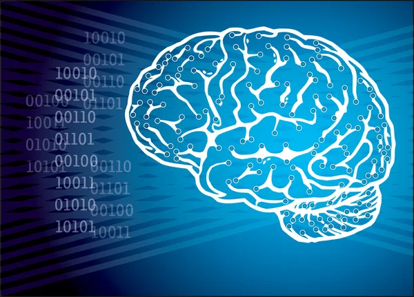 Rede cerebral humana —  Vetores de Stock